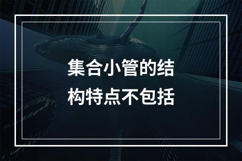 集合小管的结构特点不包括