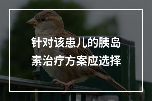 针对该患儿的胰岛素治疗方案应选择