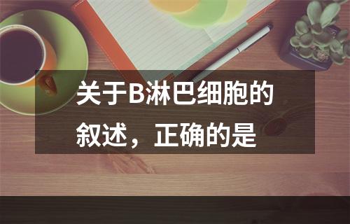 关于B淋巴细胞的叙述，正确的是