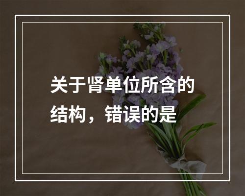 关于肾单位所含的结构，错误的是