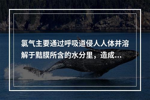 氯气主要通过呼吸道侵人人体并溶解于黠膜所含的水分里，造成上呼