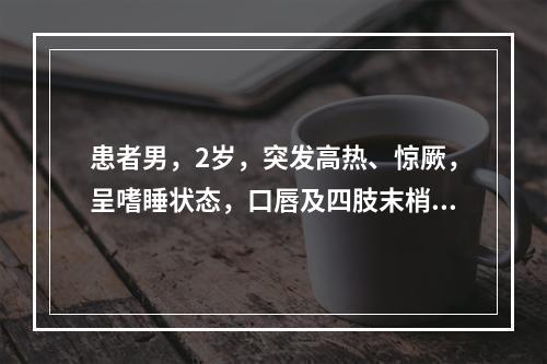 患者男，2岁，突发高热、惊厥，呈嗜睡状态，口唇及四肢末梢发绀