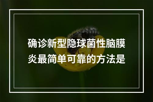 确诊新型隐球菌性脑膜炎最简单可靠的方法是