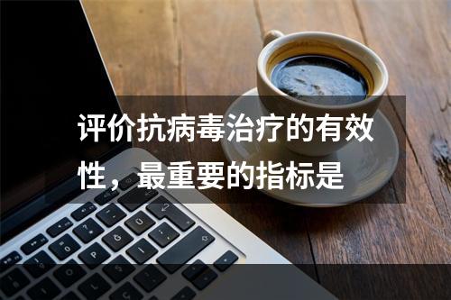 评价抗病毒治疗的有效性，最重要的指标是