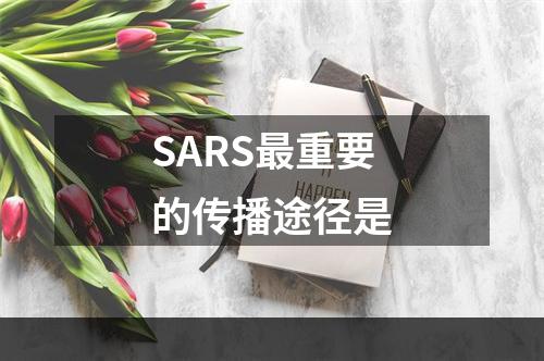 SARS最重要的传播途径是