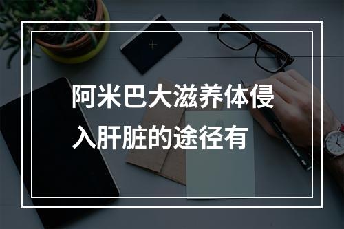 阿米巴大滋养体侵入肝脏的途径有