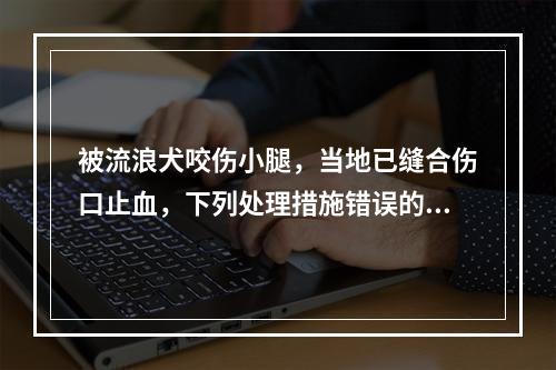 被流浪犬咬伤小腿，当地已缝合伤口止血，下列处理措施错误的是