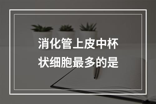 消化管上皮中杯状细胞最多的是