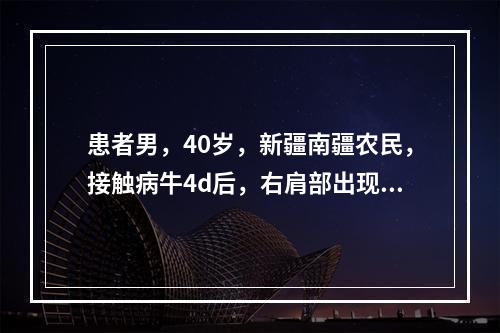 患者男，40岁，新疆南疆农民，接触病牛4d后，右肩部出现斑块