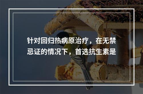 针对回归热病原治疗，在无禁忌证的情况下，首选抗生素是