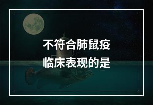 不符合肺鼠疫临床表现的是