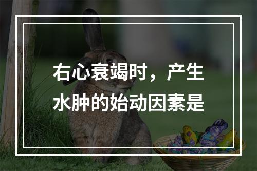 右心衰竭时，产生水肿的始动因素是