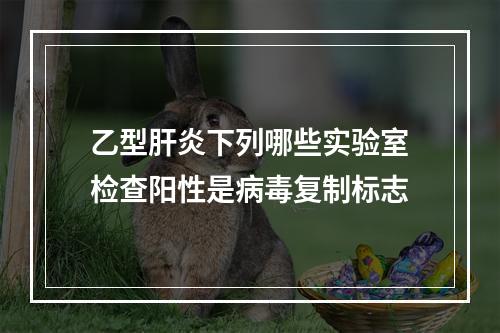 乙型肝炎下列哪些实验室检查阳性是病毒复制标志