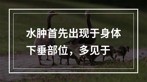 水肿首先出现于身体下垂部位，多见于