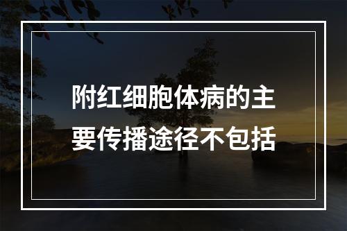 附红细胞体病的主要传播途径不包括