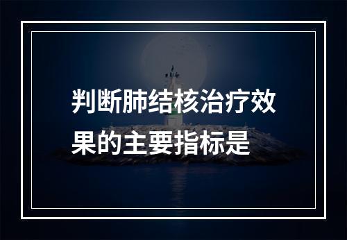 判断肺结核治疗效果的主要指标是