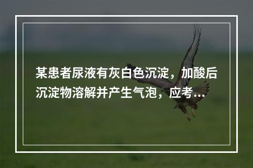 某患者尿液有灰白色沉淀，加酸后沉淀物溶解并产生气泡，应考虑