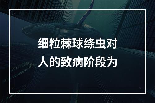 细粒棘球绦虫对人的致病阶段为