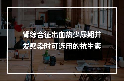 肾综合征出血热少尿期并发感染时可选用的抗生素