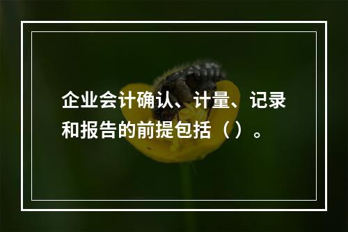 企业会计确认、计量、记录和报告的前提包括（ ）。