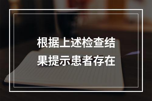 根据上述检查结果提示患者存在