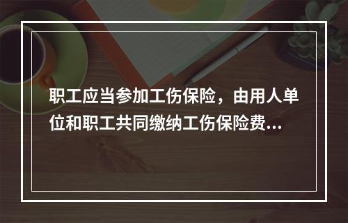 职工应当参加工伤保险，由用人单位和职工共同缴纳工伤保险费。（