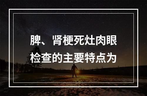 脾、肾梗死灶肉眼检查的主要特点为