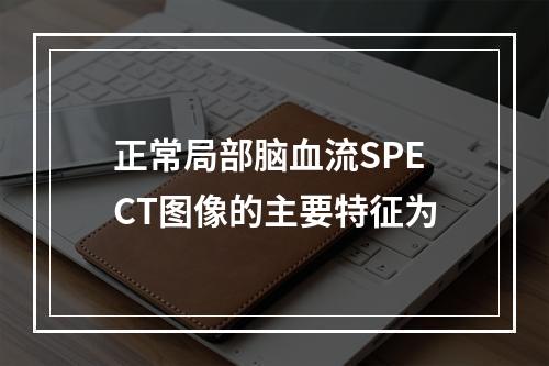 正常局部脑血流SPECT图像的主要特征为