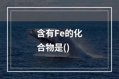 含有Fe的化合物是()