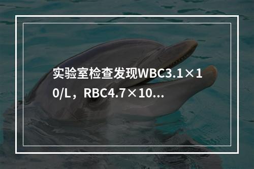 实验室检查发现WBC3.1×10/L，RBC4.7×10/L