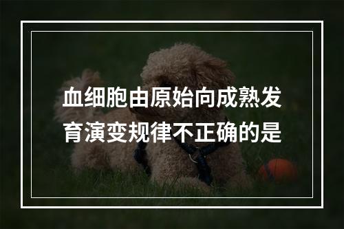 血细胞由原始向成熟发育演变规律不正确的是