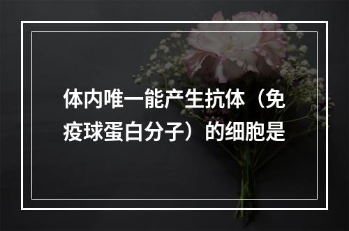 体内唯一能产生抗体（免疫球蛋白分子）的细胞是