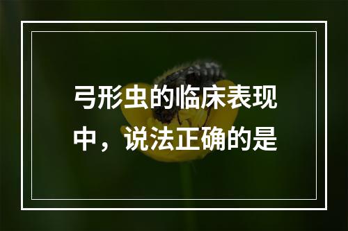 弓形虫的临床表现中，说法正确的是