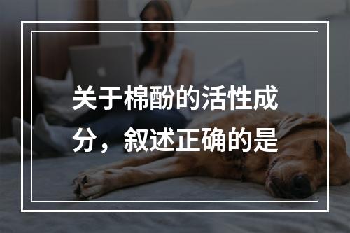 关于棉酚的活性成分，叙述正确的是