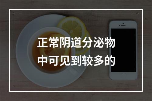 正常阴道分泌物中可见到较多的