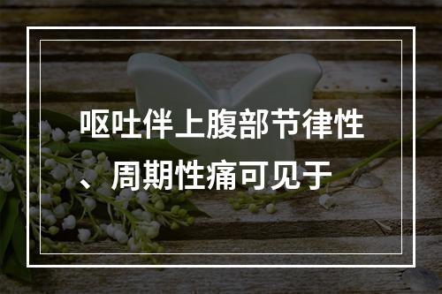 呕吐伴上腹部节律性、周期性痛可见于