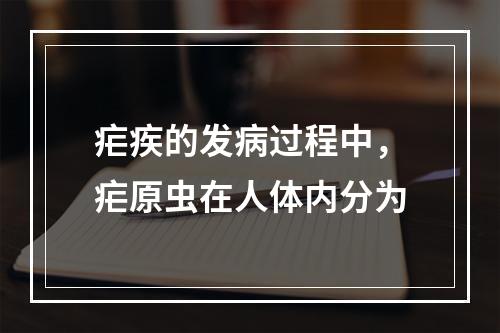 疟疾的发病过程中，疟原虫在人体内分为