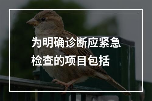 为明确诊断应紧急检查的项目包括