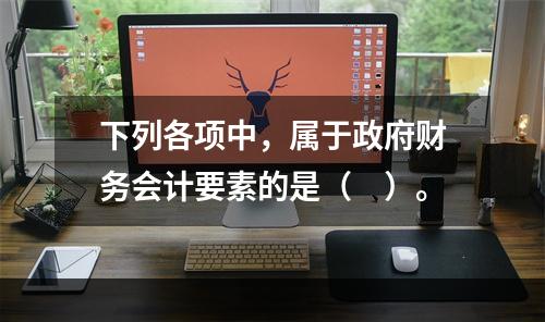 下列各项中，属于政府财务会计要素的是（　）。