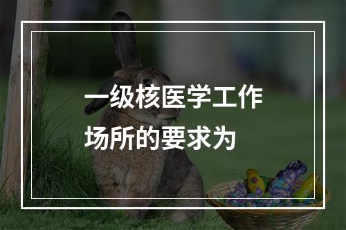 一级核医学工作场所的要求为