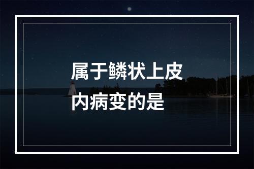 属于鳞状上皮内病变的是