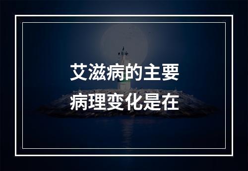 艾滋病的主要病理变化是在