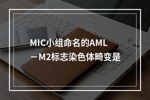 MIC小组命名的AML－M2标志染色体畸变是