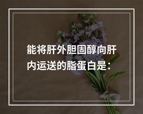 能将肝外胆固醇向肝内运送的脂蛋白是：