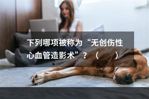 下列哪项被称为“无创伤性心血管造影术”？（　　）