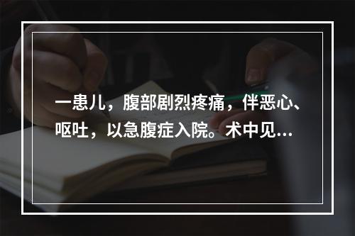 一患儿，腹部剧烈疼痛，伴恶心、呕吐，以急腹症入院。术中见肠套