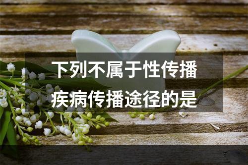 下列不属于性传播疾病传播途径的是