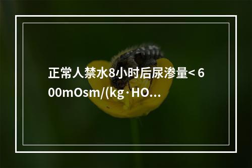 正常人禁水8小时后尿渗量< 600mOsm/(kg·HO)，