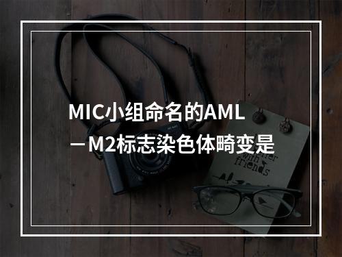 MIC小组命名的AML－M2标志染色体畸变是