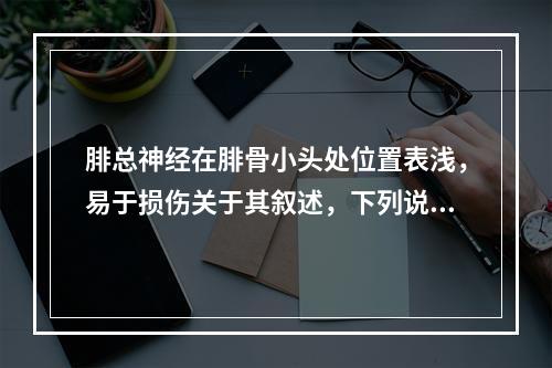 腓总神经在腓骨小头处位置表浅，易于损伤关于其叙述，下列说法不